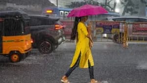 வேலூர், ராணிப்பேட்டை, திருவண்ணாமலைக்கு இன்று கனமழை! வானிலை மையம் தகவல்!