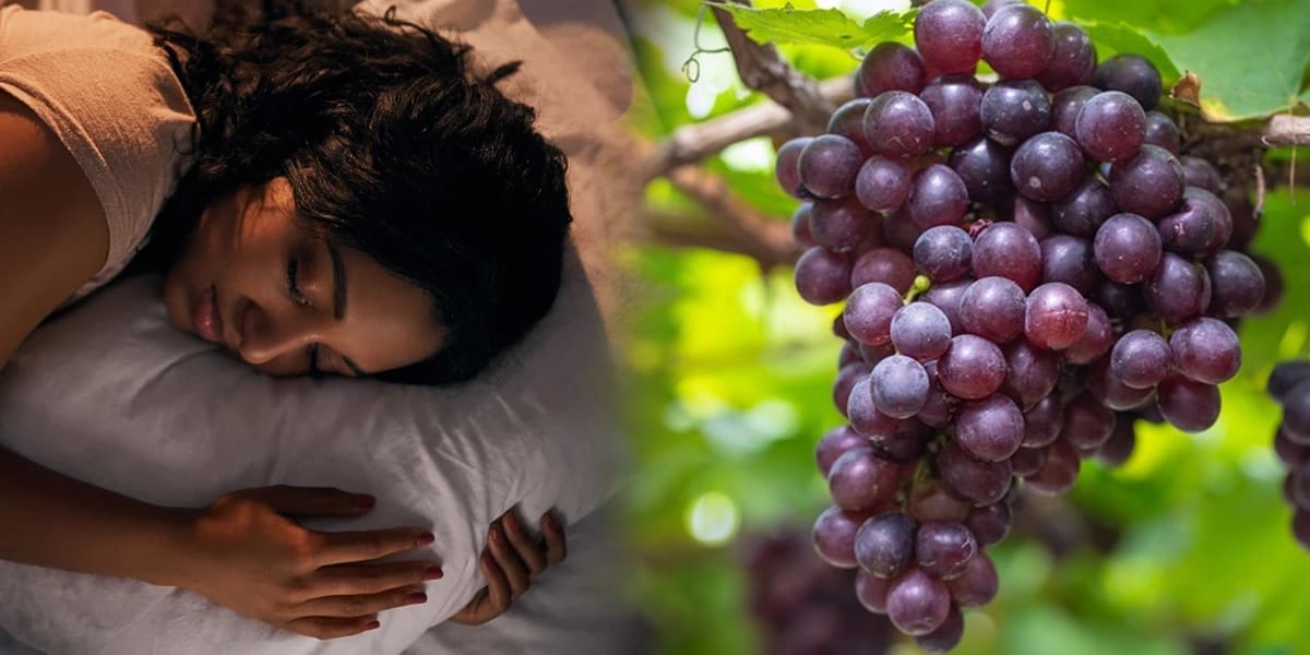 Grapes Sleep [file image]