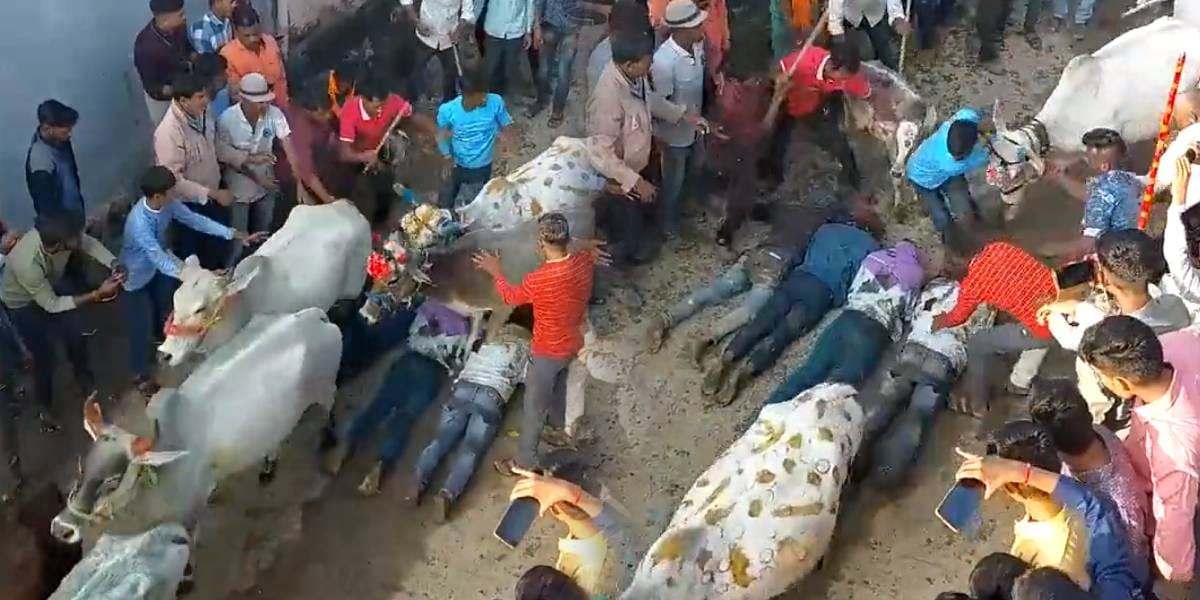Next day DIwali Celebration - Madhya Pradesh
