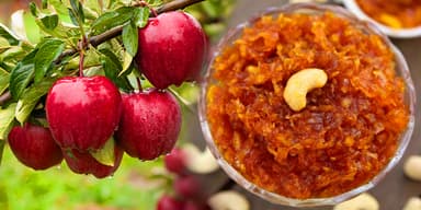 apple halwa
