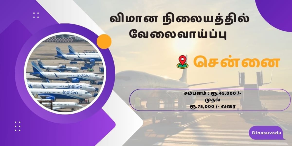 Airport Job