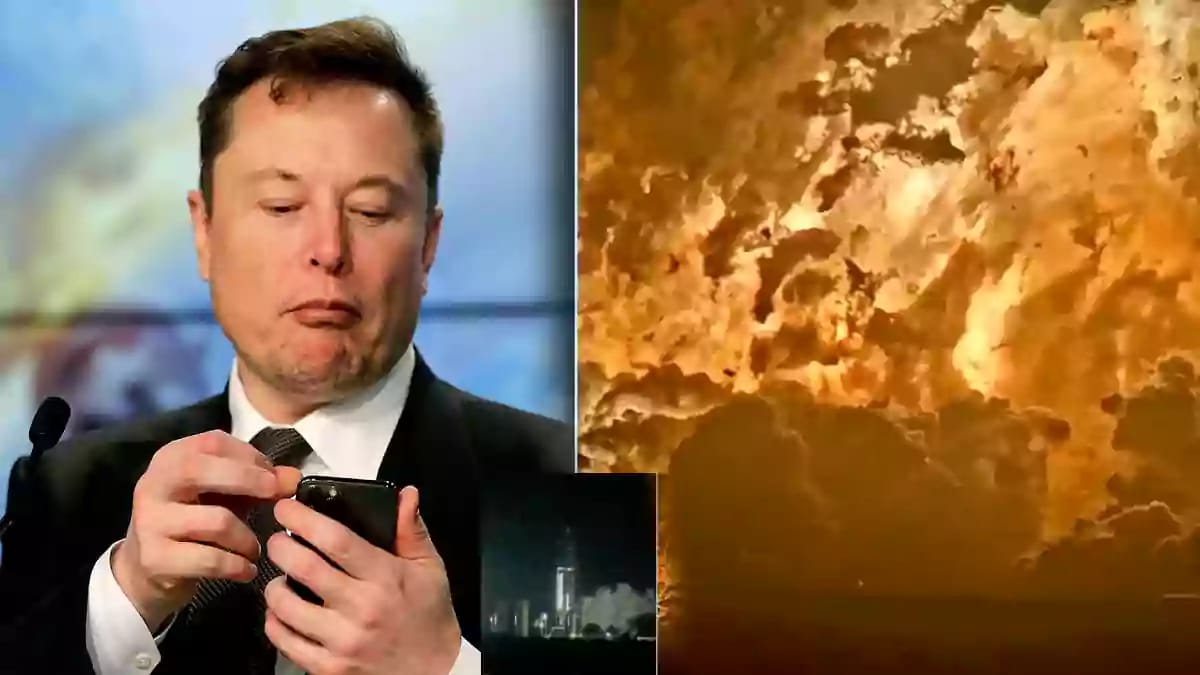 elon musk - Just a scratch