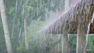 TN RAIN