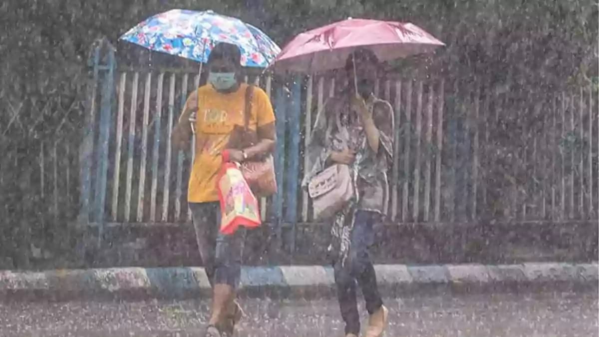 TN Rain
