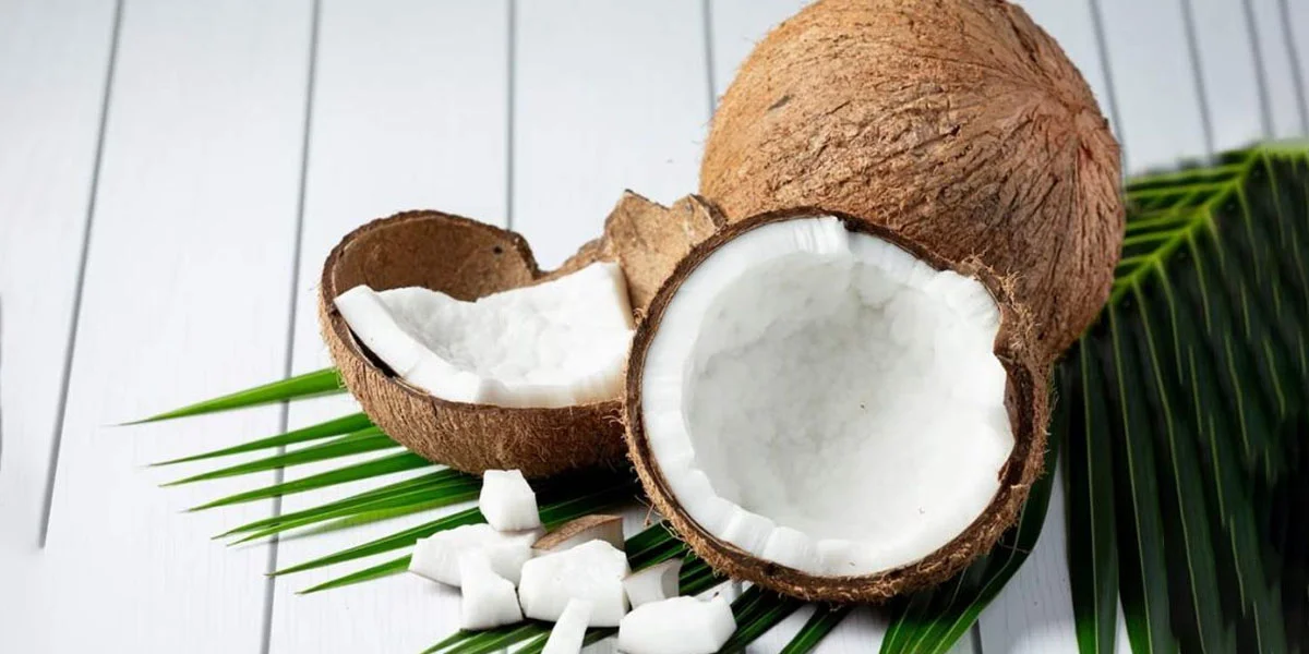 Amazing properties of coconut