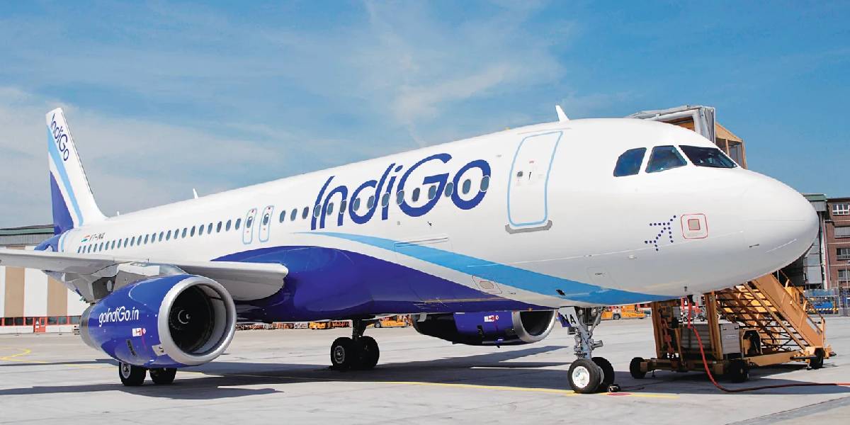 Indigo 500