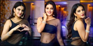 Nidhhi Agerwal photo