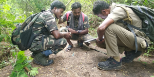 Sathyamangalam ProjectTiger