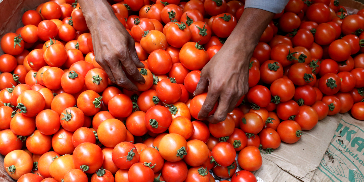 Tomato prices