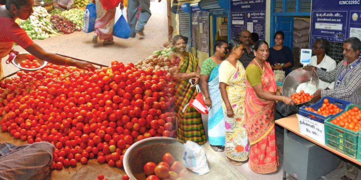 Tomato sales 300