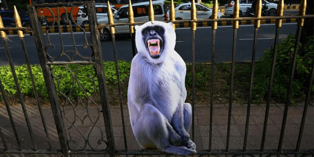 G20 Summit - langur cutouts