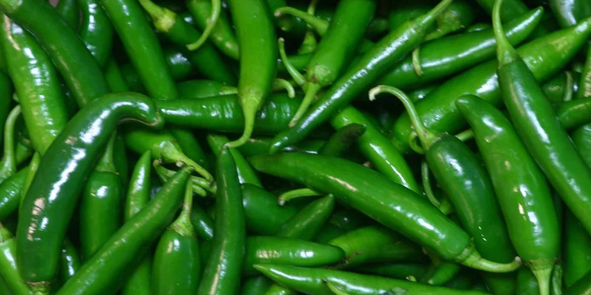 Green Chilli Pickle : பச்சை மிளகாயில் இவ்வளவு சுவையான ரெசிபி செய்யலாமா..? வாங்க பார்க்கலாம்..!
