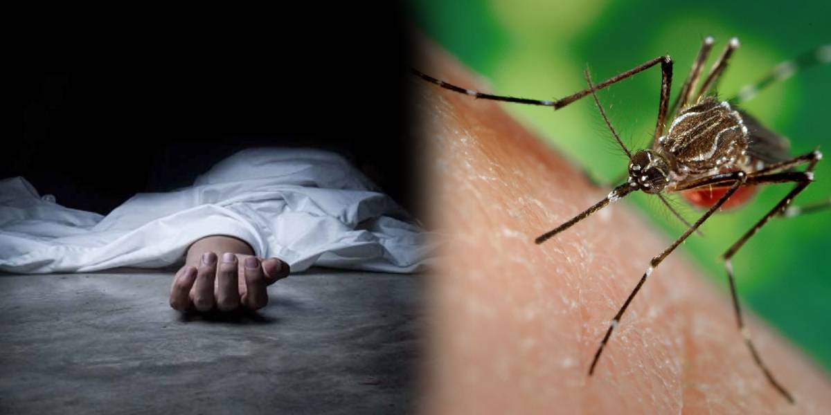 One child dead due to Dengue Fever