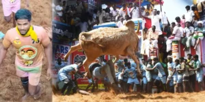 Abi Siddhar - Alanganallur Jallikattu 2024