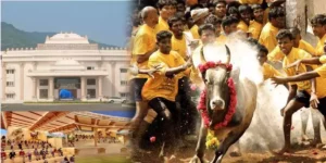 Alanganallur Kilakarai Jallikattu 2024