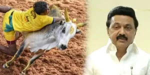 Jallikattu 2024 - Tamilnadu CM MK Stalin