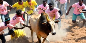 Jallikattu reservation