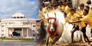 Kalaignar Century Jallikattu Maidan