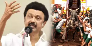 MK Stalin - Alanganallur Kilakarai Jallikattu stadium