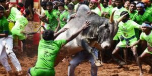 SriLanka Jallikattu