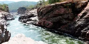 Cauvery