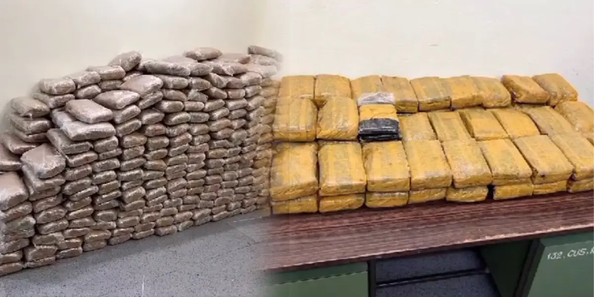 Trichy Customs Preventive seizes 100 kilograms of Hashish