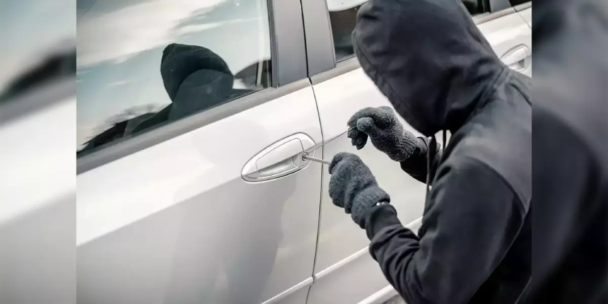 Vehicle thefts