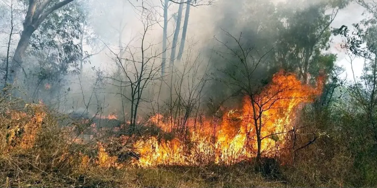 Uttarkhand Forest Fire
