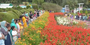 Kodaikanal flower Show