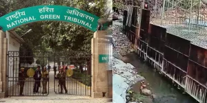 National Green Tribunal - Silanthi River