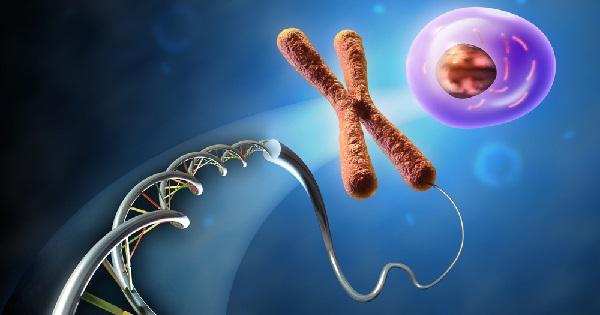 X chromosome gene