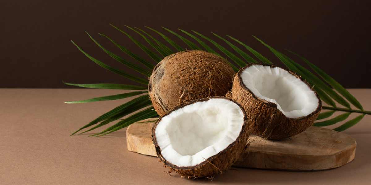 coconut (3)