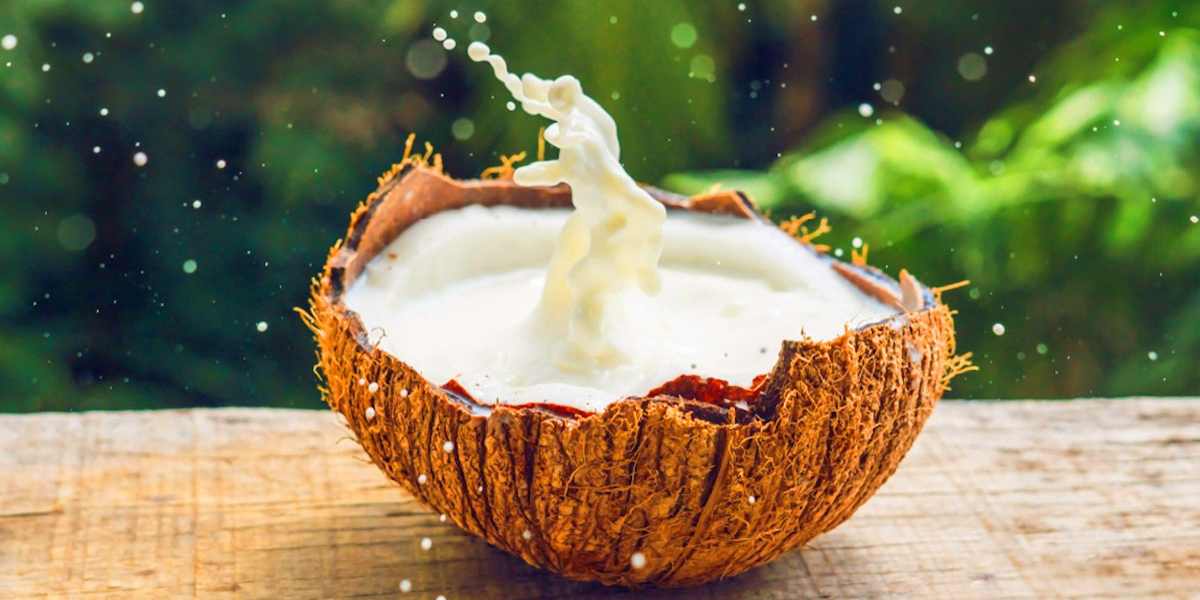 coconut milk (1)