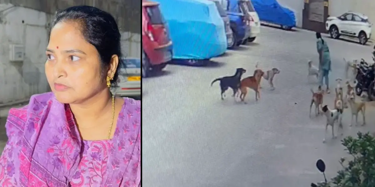 Dogs attacked Women in Hythrabad