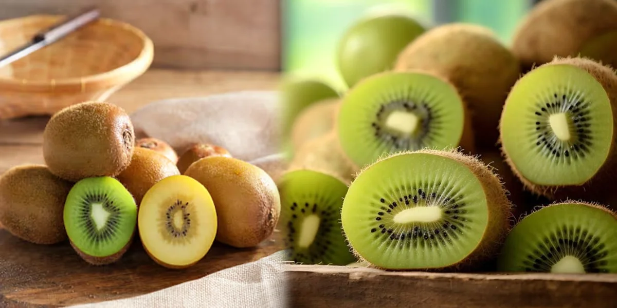 Kiwi fruit (1)