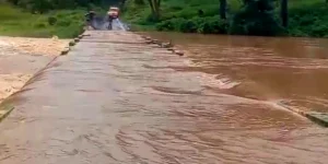 Nilgiri rain