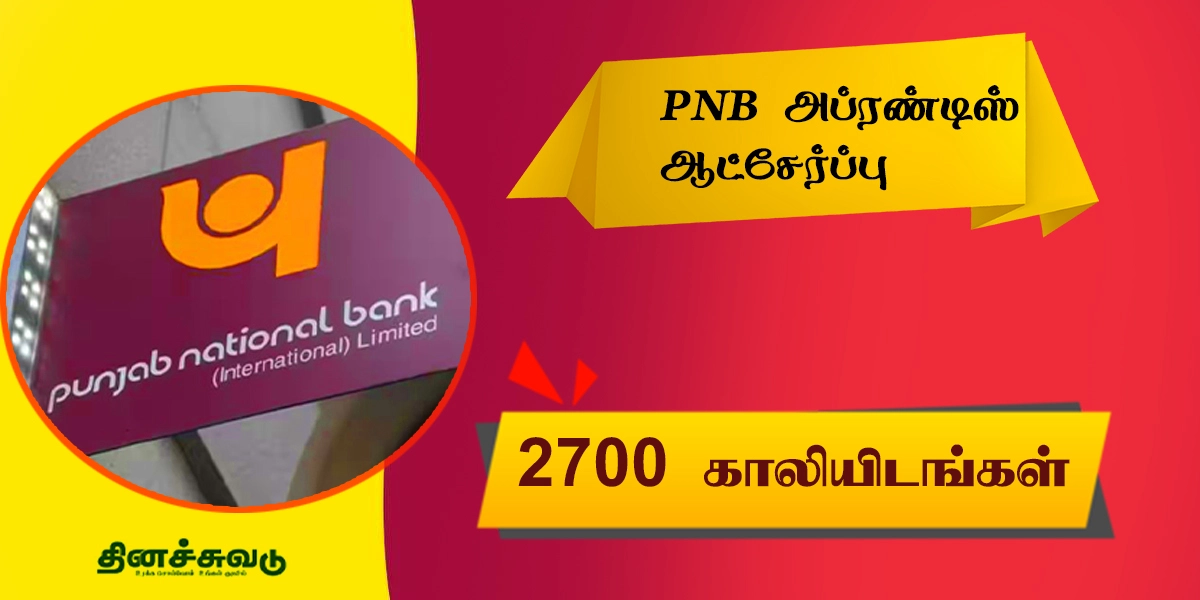 PNB Bank Job