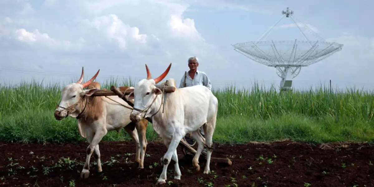 Tamilnadu Farmers