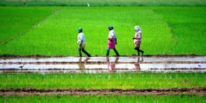 Tamilnadu Farmers