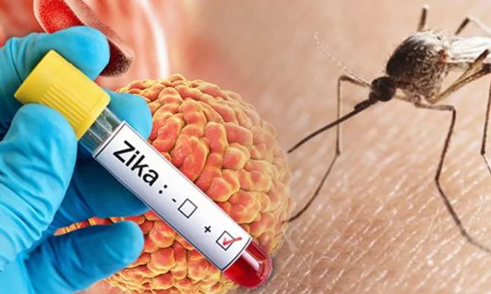 Zika virus - Pune