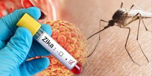 Zika virus - Pune