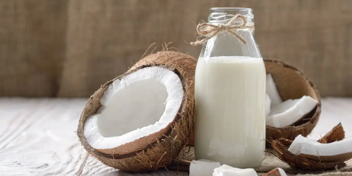 coconut milk (3)