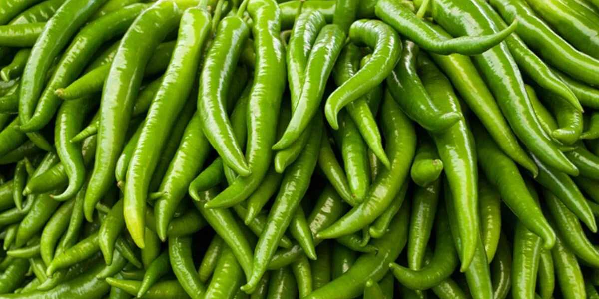 green chilli