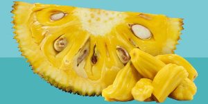 jackfruit (1)