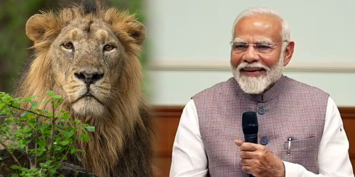 PM Modi Tweet about World Lion Day