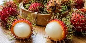 Rambutan fruit (1)