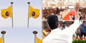 Thalapathy Vijay TVK Flag