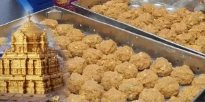 Tirupati Laddu