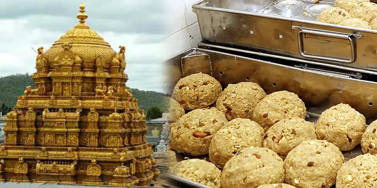 Tirupati Laddu Issue