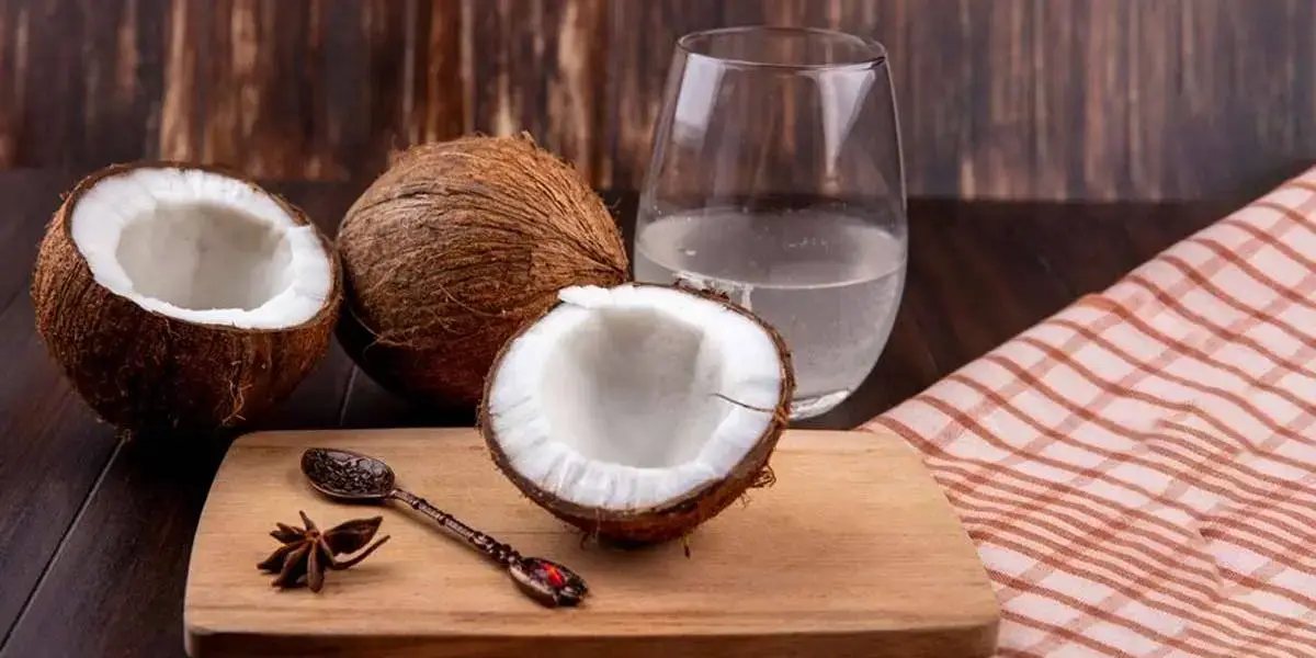 coconut (6) (1)